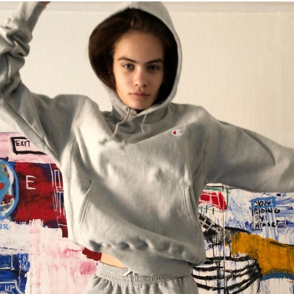 Gray Champion Hoodie